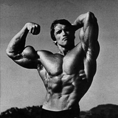 ARNOLD9 (2)