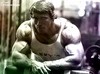 Arnold(01)